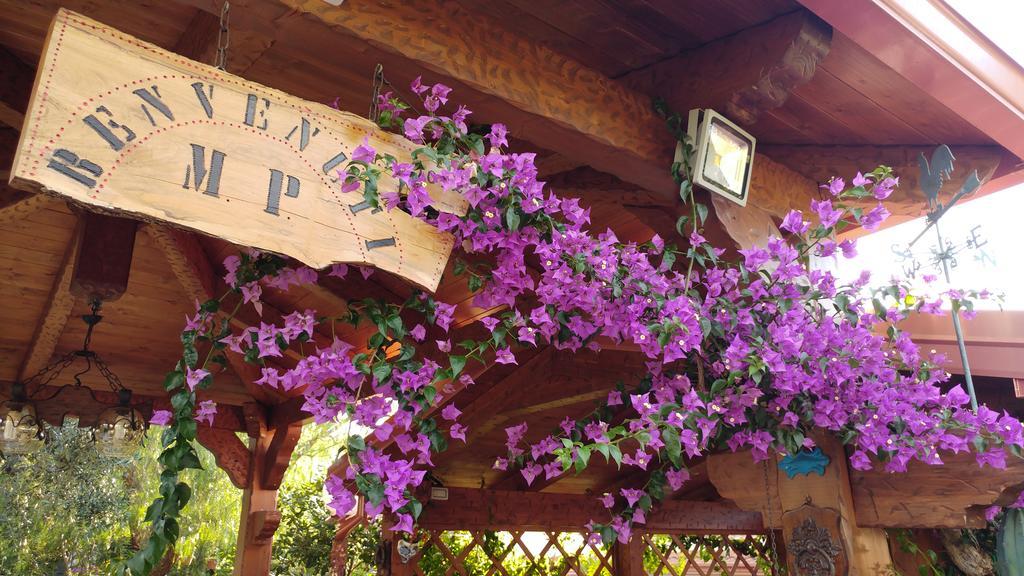 Villa Macchione 马蒂纳塔 外观 照片